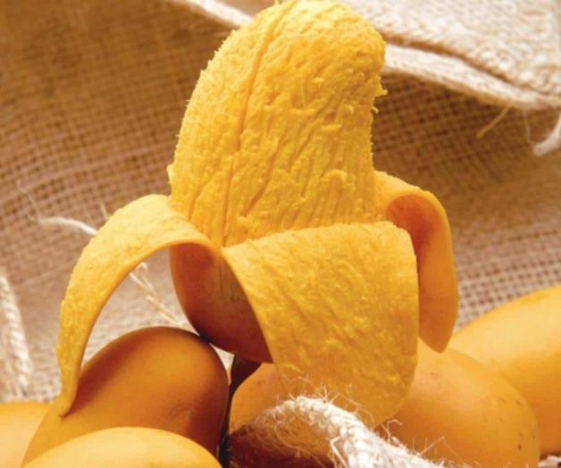 ¿Sabías que el mango es un regulador de azúcar en la sangre?