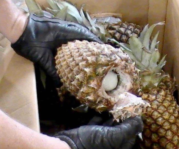Filtran a Europa narcofrutas de AL