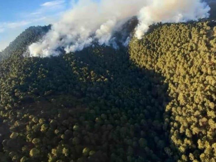 Controlan incendio de 3 días en Mazamitla Controlan incendio de 3 días en Mazamitla