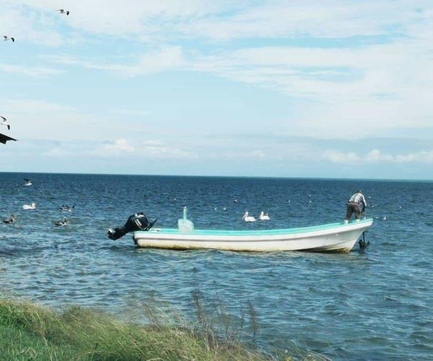 Vientos sacan de sus  madrigueras el camarón