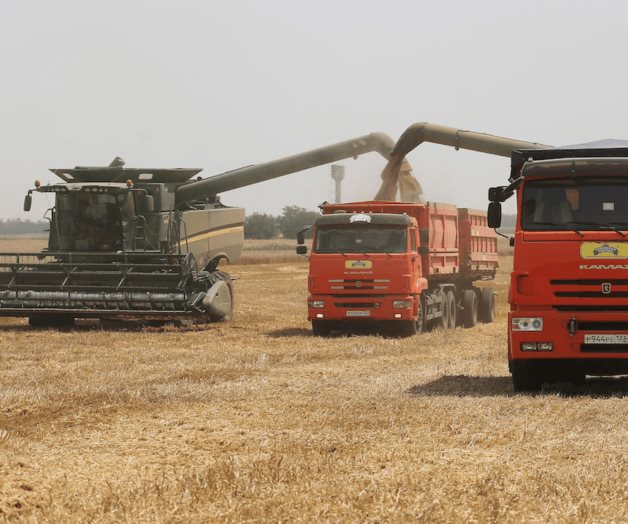 Afecta invasión a Ucrania suministro de los cereales