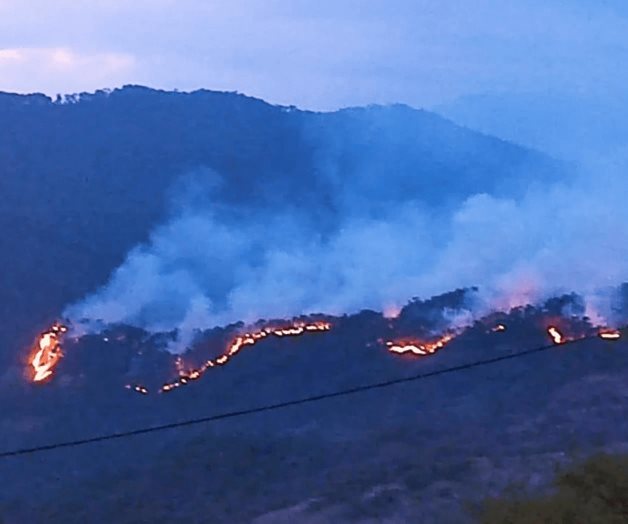 Avanza incendio forestal hacia Yosoyuxi, comunidad triqui de Oaxaca