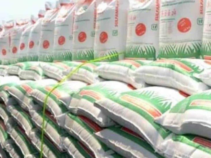 Temen agricultores aumento en costo de fertilizantes Temen agricultores aumento en costo de fertilizantes