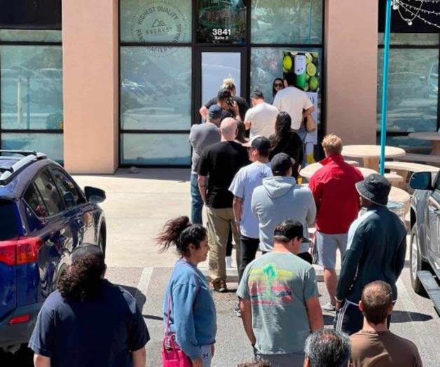 Venden 2MDD en mariguana en 7 horas en Nuevo México Venden 2MDD en mariguana en 7 horas en Nuevo México