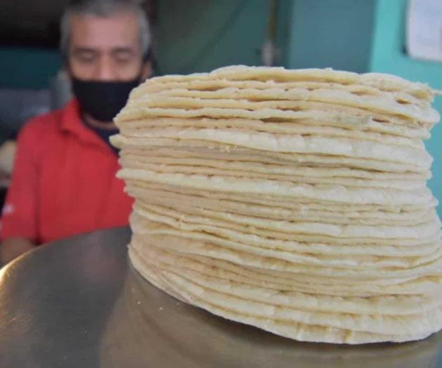 Alertan sobre tortillas sin valor nutrimental