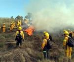 Consumen incendios suelo de conservación