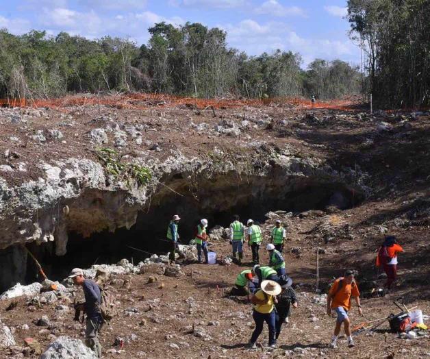 Topa el TREN MAYA con ‘Avispa Enojada’