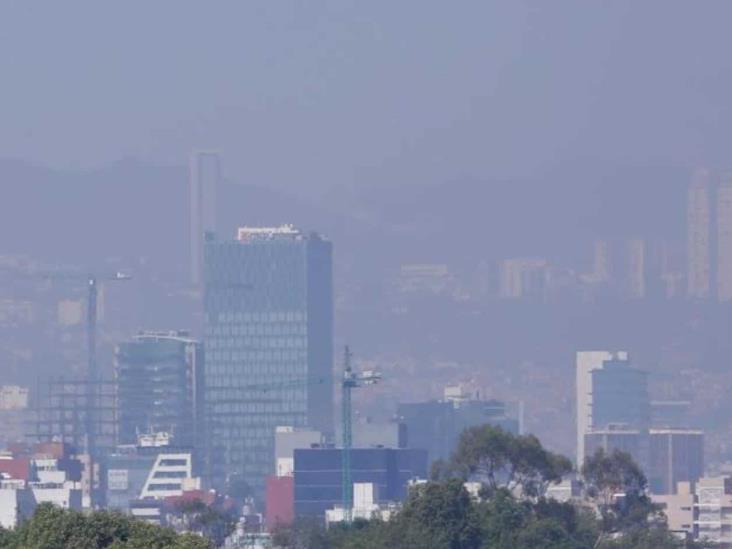 ¿Cómo se puede remover CO2 del mundo? ¿Cómo se puede remover CO2 del mundo?