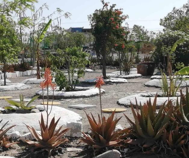 Resienten áreas verdes la sequía