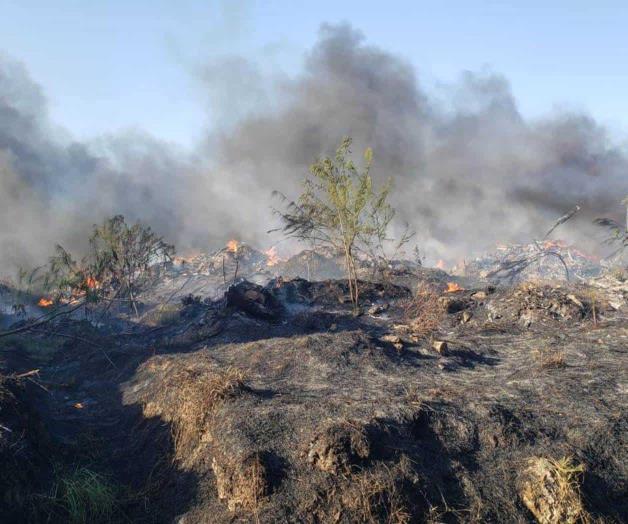 Personas inconscientes le prenden al basurero Personas inconscientes le prenden al basurero