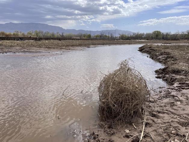 Angustia en la frontera; casi se seca el río Bravo
