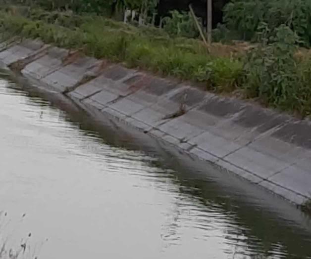 Compromete Conagua cultivos del 026 ante huachicoleo de agua en II Unidad