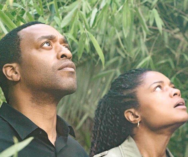 Llegan directo a tu casa Llegan directo a tu casa