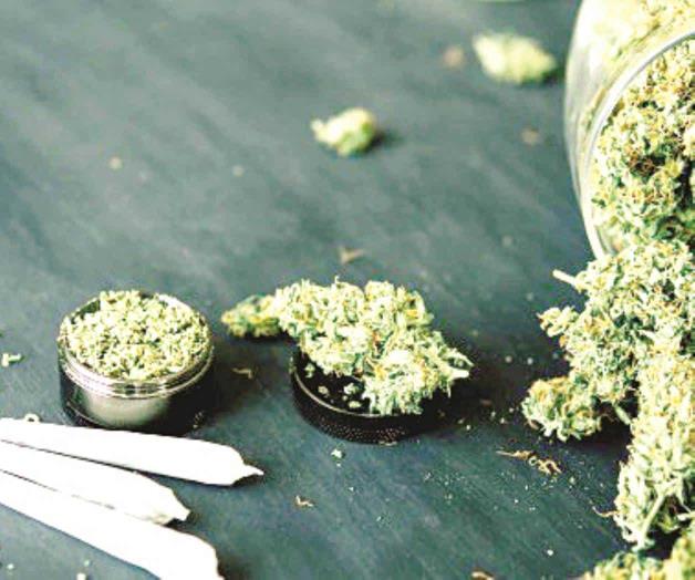 Inicia en Suiza plan piloto para venta de mariguana