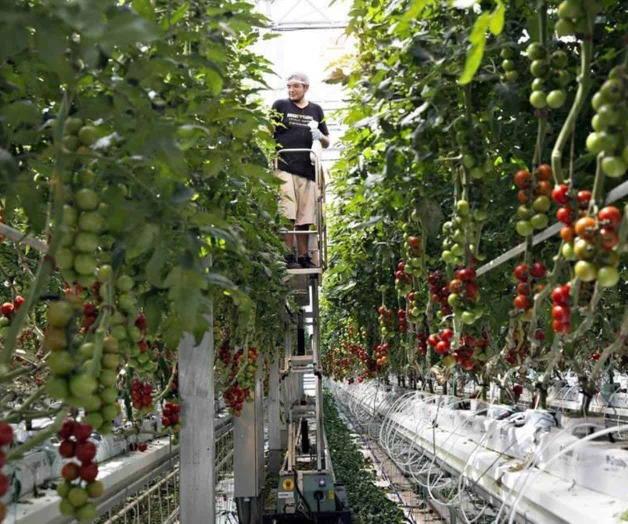 Anima EU reforma laboral