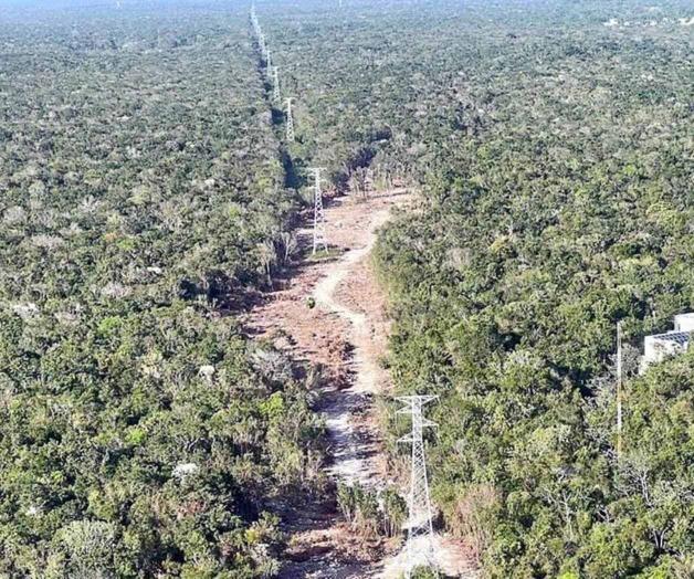 Dan frenón al Tren Maya