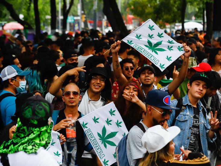 Reconocen urgencia de legalizar mariguana Reconocen urgencia de legalizar mariguana