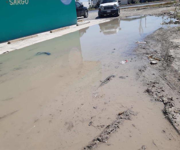 Derrochan agua potable por fuga en Las Delicias