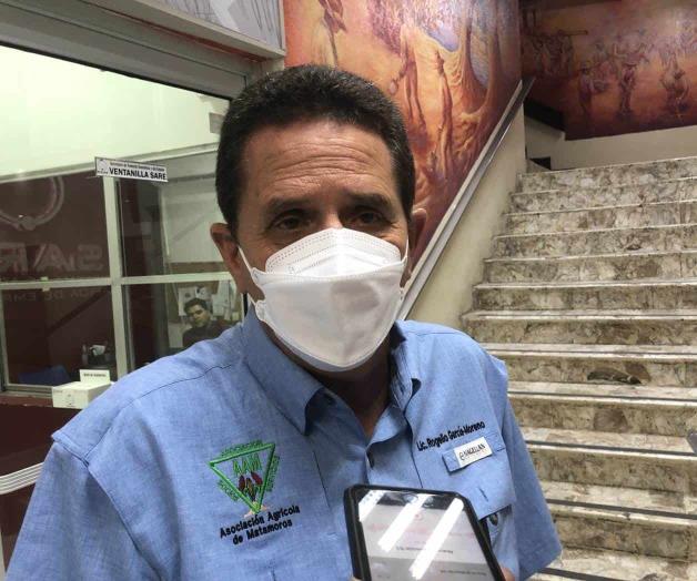 Cotizan sorgo en $5 mil la tonelada