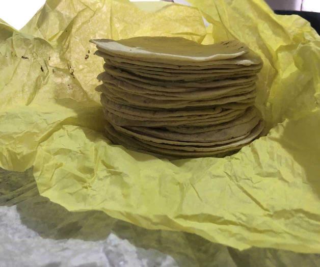 Prevén aumento a precio de tortilla Prevén aumento a precio de tortilla