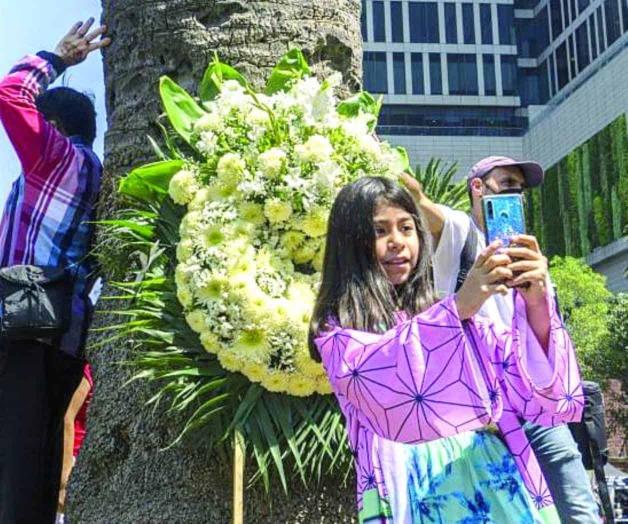 Despiden capitalinos palma de la glorieta