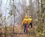 Arde reserva de Calakmul