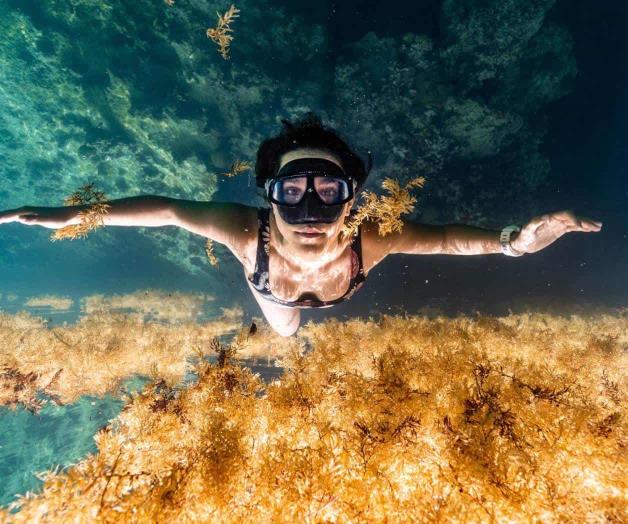 Salvar a los cenotes Salvar a los cenotes