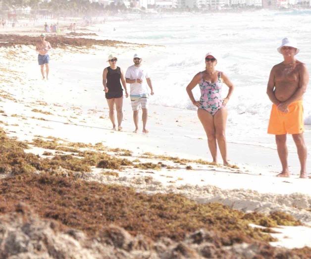 Quita sargazo brillo al Caribe