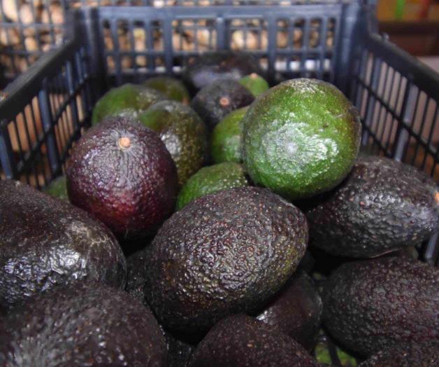 Prevén 15 días caros