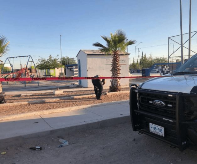 Mató un gato y lo comió frente a mirada de paseantes de una plaza
