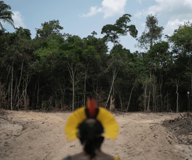 Rompe récord deforestación en la Amazonia