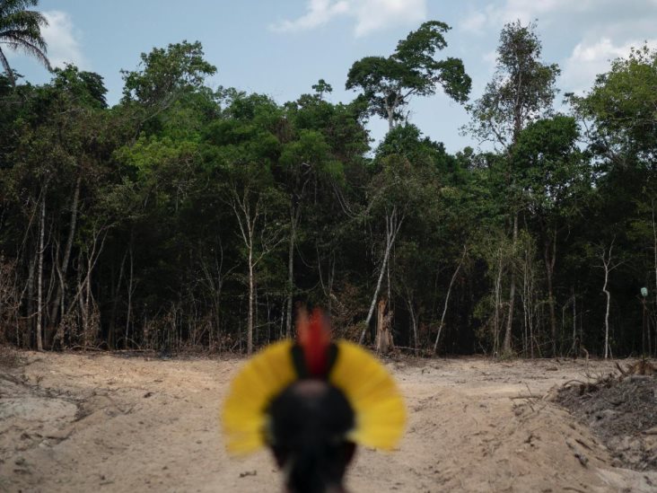 Rompe récord deforestación en la Amazonia Rompe récord deforestación en la Amazonia