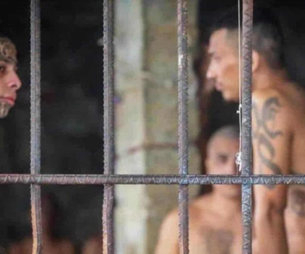 Reconoce decena de muertos el Salvador Reconoce decena de muertos el Salvador