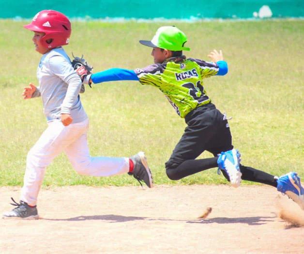 ¡‘Devoran’ a Azulejos! ¡‘Devoran’ a Azulejos!