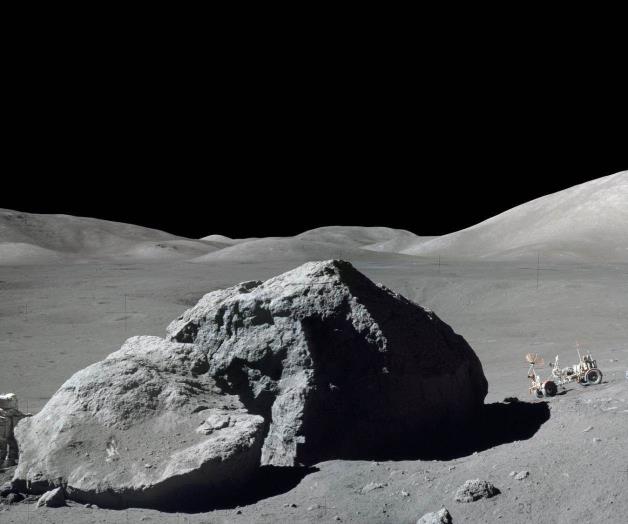 Cultivan plantas en suelo lunar