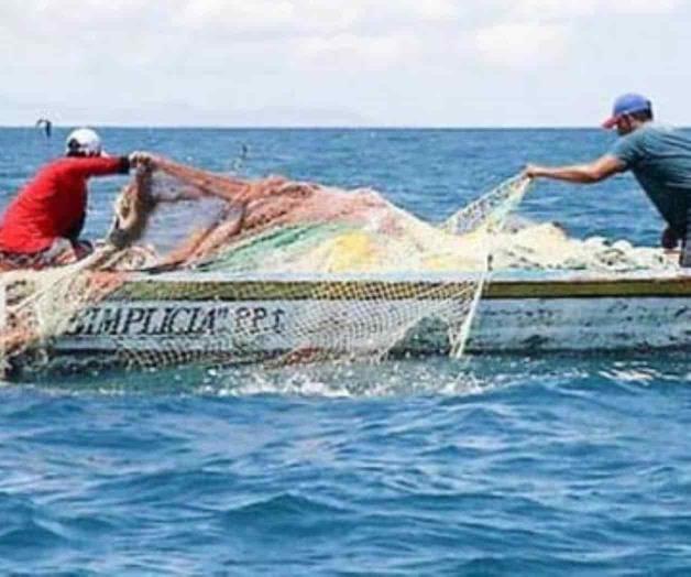 Anuncian veda de Robalo en el litoral del Golfo de México Anuncian veda de Robalo en el litoral del Golfo de México