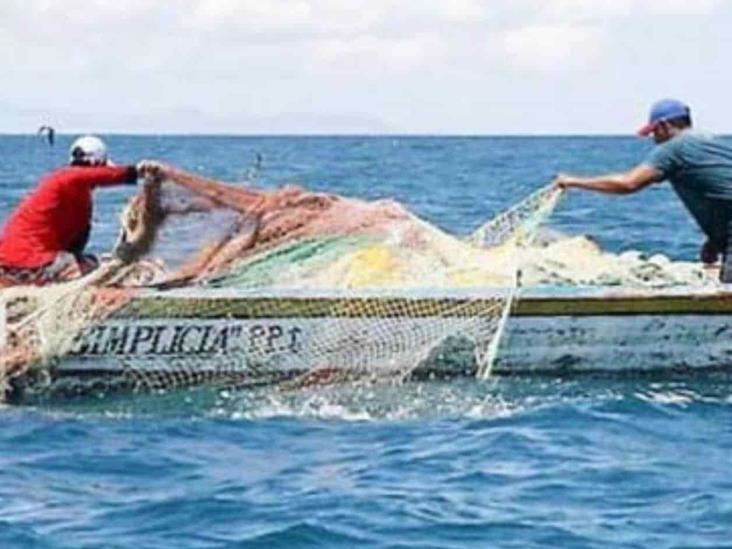 Anuncian veda de Robalo en el litoral del Golfo de México Anuncian veda de Robalo en el litoral del Golfo de México