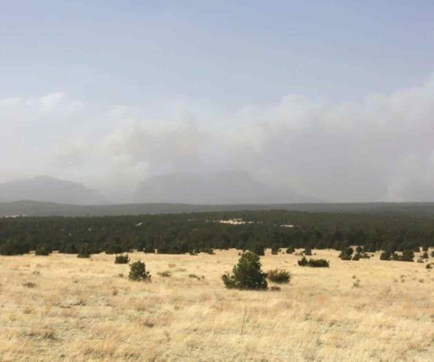 Clima ayuda a combatir incendios de Nuevo México Clima ayuda a combatir incendios de Nuevo México