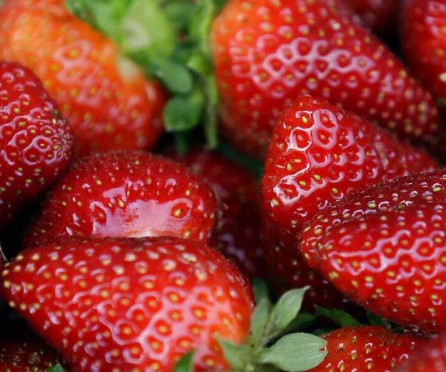 EEUU y Canadá vinculan casos de hepatitis con fresas