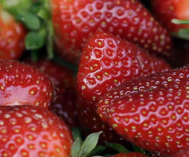 Vinculan casos de hepatitis con fresas