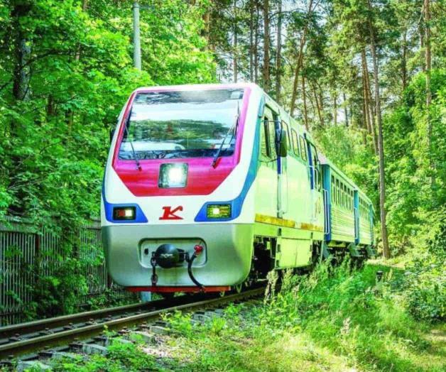 Celebran activistas fallo contra Tramo 5 de Tren Maya