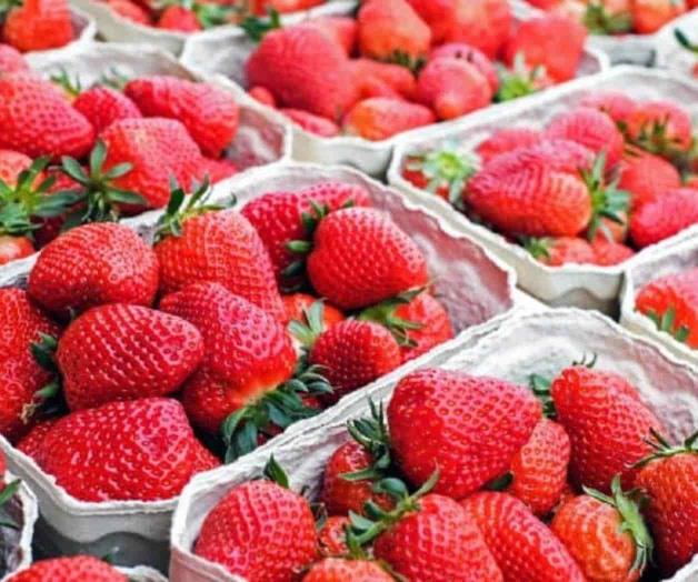 Reportan el primer caso de hepatitis A en Laredo Reportan el primer caso de hepatitis A en Laredo