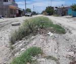 Esperan pavimentación de calle durante 10 años