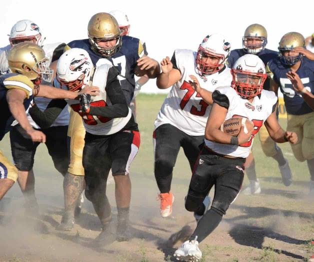 ¡Búfalos mandan! ¡Búfalos mandan!