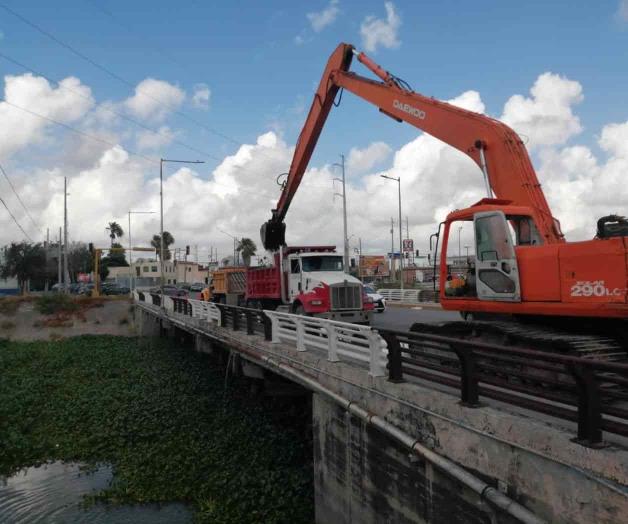Lento el dragado de lirio en el Anzaldúas