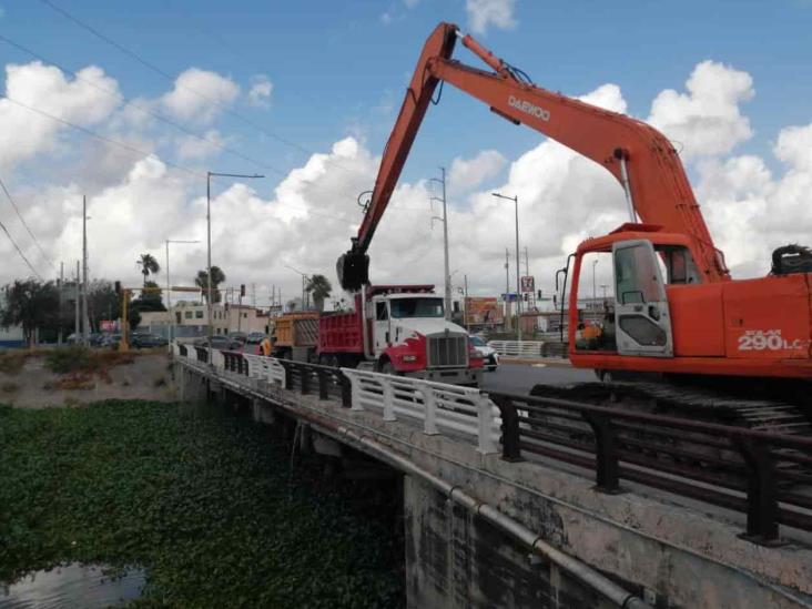 Lento el dragado de lirio en el Anzaldúas Lento el dragado de lirio en el Anzaldúas