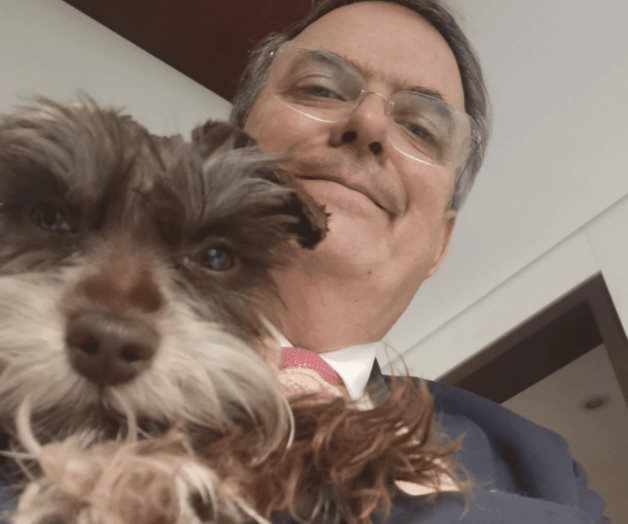 Desata Ebrard su campaña en redes