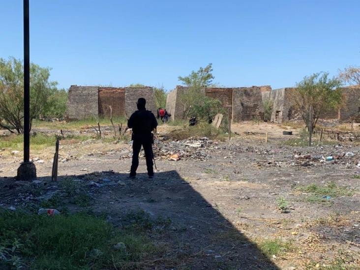 Reportan osamenta; eran de un animal Reportan osamenta; eran de un animal