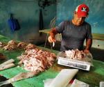 Detectan irregularidades en beneficiarios de Bienpesca