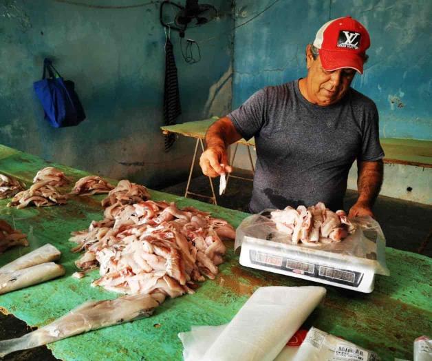Detectan irregularidades en beneficiarios de Bienpesca Detectan irregularidades en beneficiarios de Bienpesca